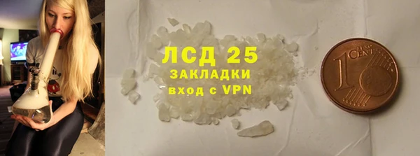 индика Приозерск