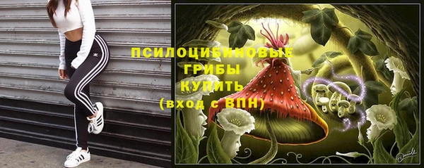 PSILOCYBIN Алексин