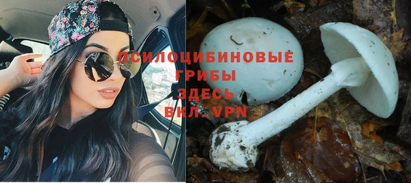 PSILOCYBIN Алексин