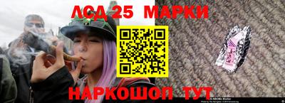 крисы Шелехов