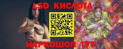 крисы Шелехов