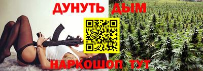 крисы Шелехов