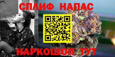 крисы Шелехов