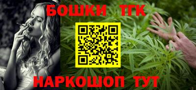 крисы Шелехов