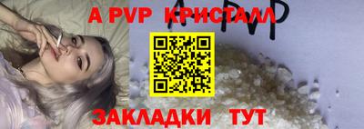 крисы Шелехов