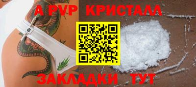 крисы Шелехов