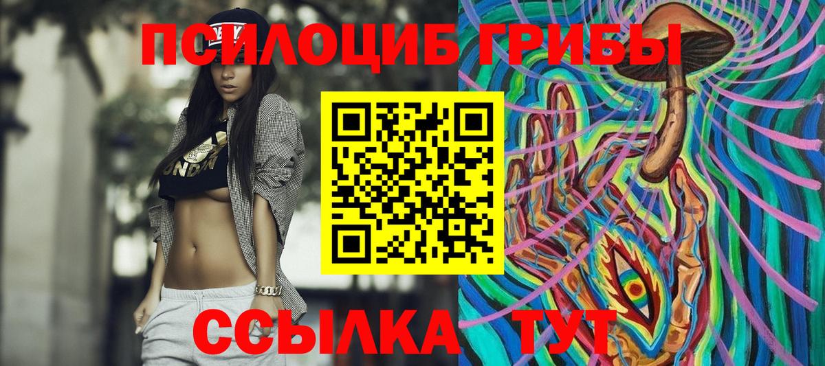 Канаш  Галлюциногенные грибы Psilocybe  Вход с VPN 