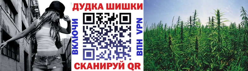 где продают   Канаш  Бошки Шишки Amnesia 